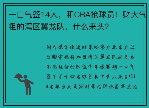 一口气签14人，和CBA抢球员！财大气粗的湾区翼龙队，什么来头？